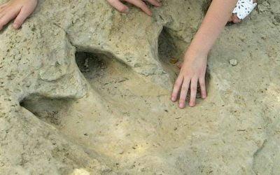 Dinosaur Valley State Park