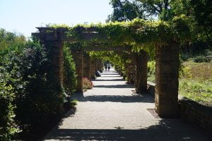 fort worth botanic garden c